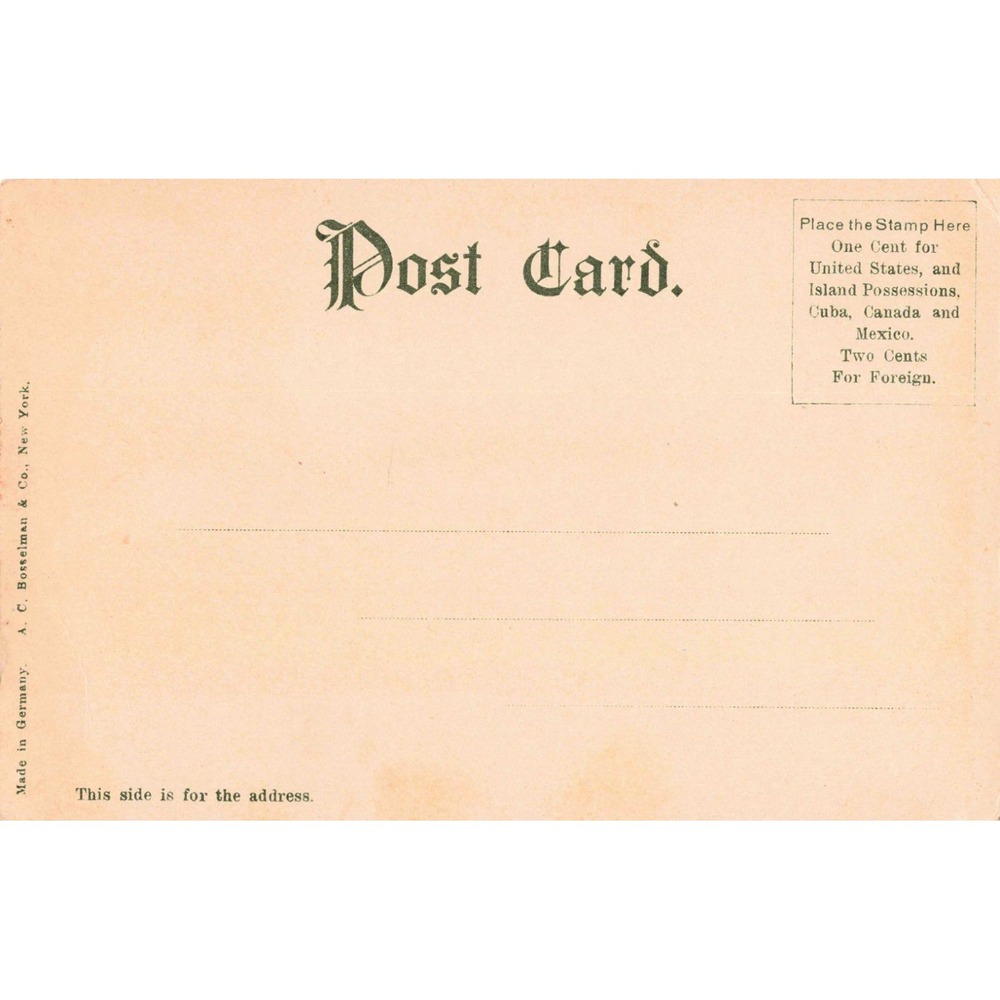 Vintage Lake Mendota Shore Madison WI Postcard Divided Back Bosselman 1612 - Picture 2 of 2